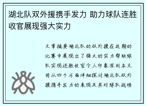 湖北队双外援携手发力 助力球队连胜收官展现强大实力