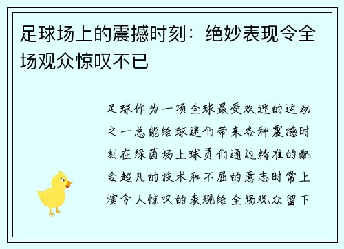 足球场上的震撼时刻：绝妙表现令全场观众惊叹不已