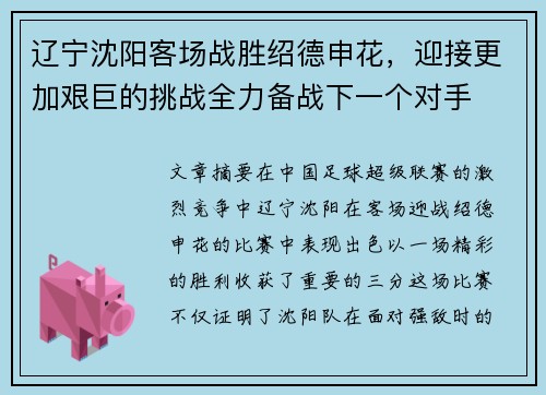 辽宁沈阳客场战胜绍德申花，迎接更加艰巨的挑战全力备战下一个对手