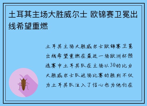 土耳其主场大胜威尔士 欧锦赛卫冕出线希望重燃