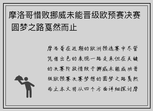 摩洛哥惜败挪威未能晋级欧预赛决赛 圆梦之路戛然而止