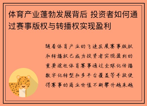 体育产业蓬勃发展背后 投资者如何通过赛事版权与转播权实现盈利